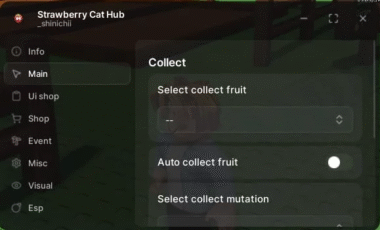 Strawberry cat hub gag