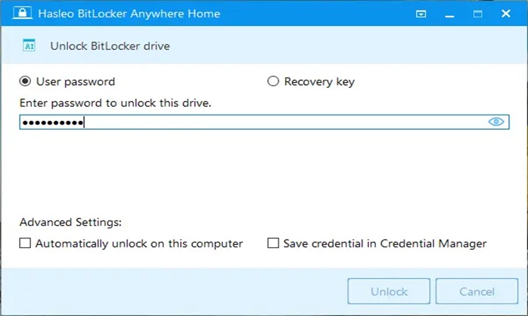 Free bitlocker manager w