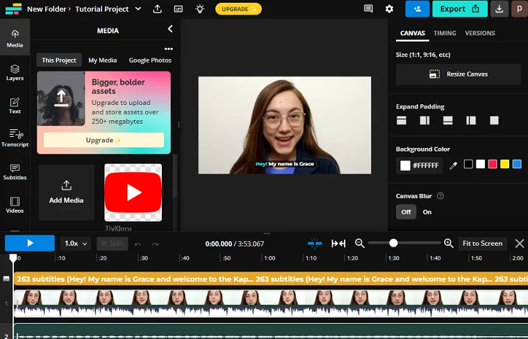 Kapwing screenshot 1