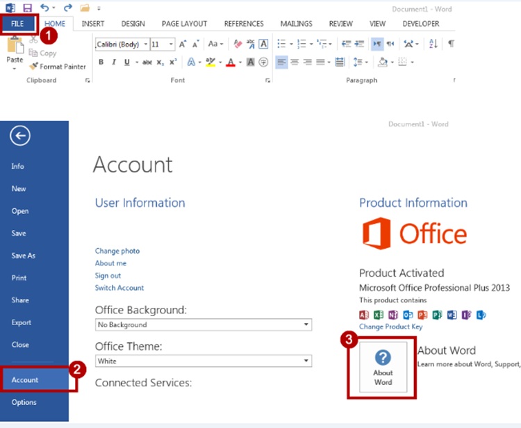 Ms office 2013