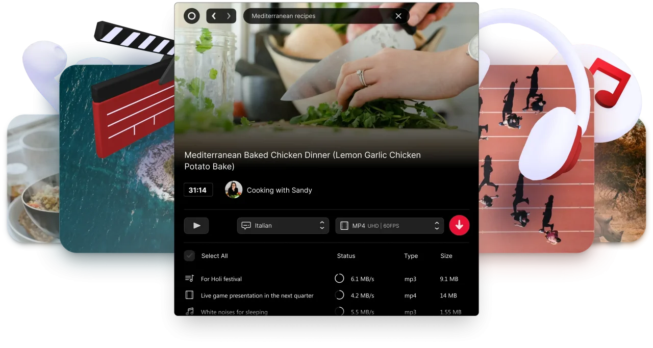 Viddly youtube downloader